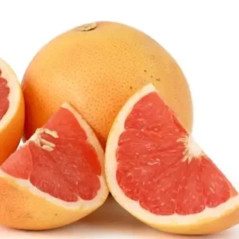 CITRUS x paradisi (Pomelo) Jaune