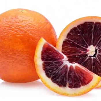 CITRUS sinensis (Orange) Sanguinea