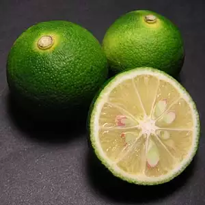 CITRUS sudachi