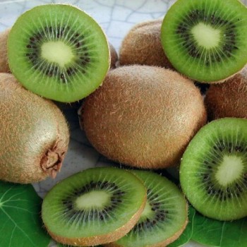 ACTINIDIA deliciosa Hayward