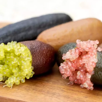 MICROCITRUS australasica (Citron caviar)
