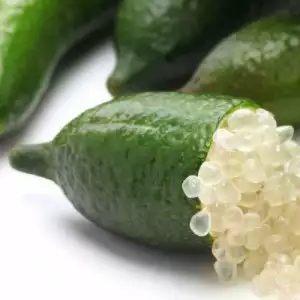 MICROCITRUS australasica (Citron caviar) Vert